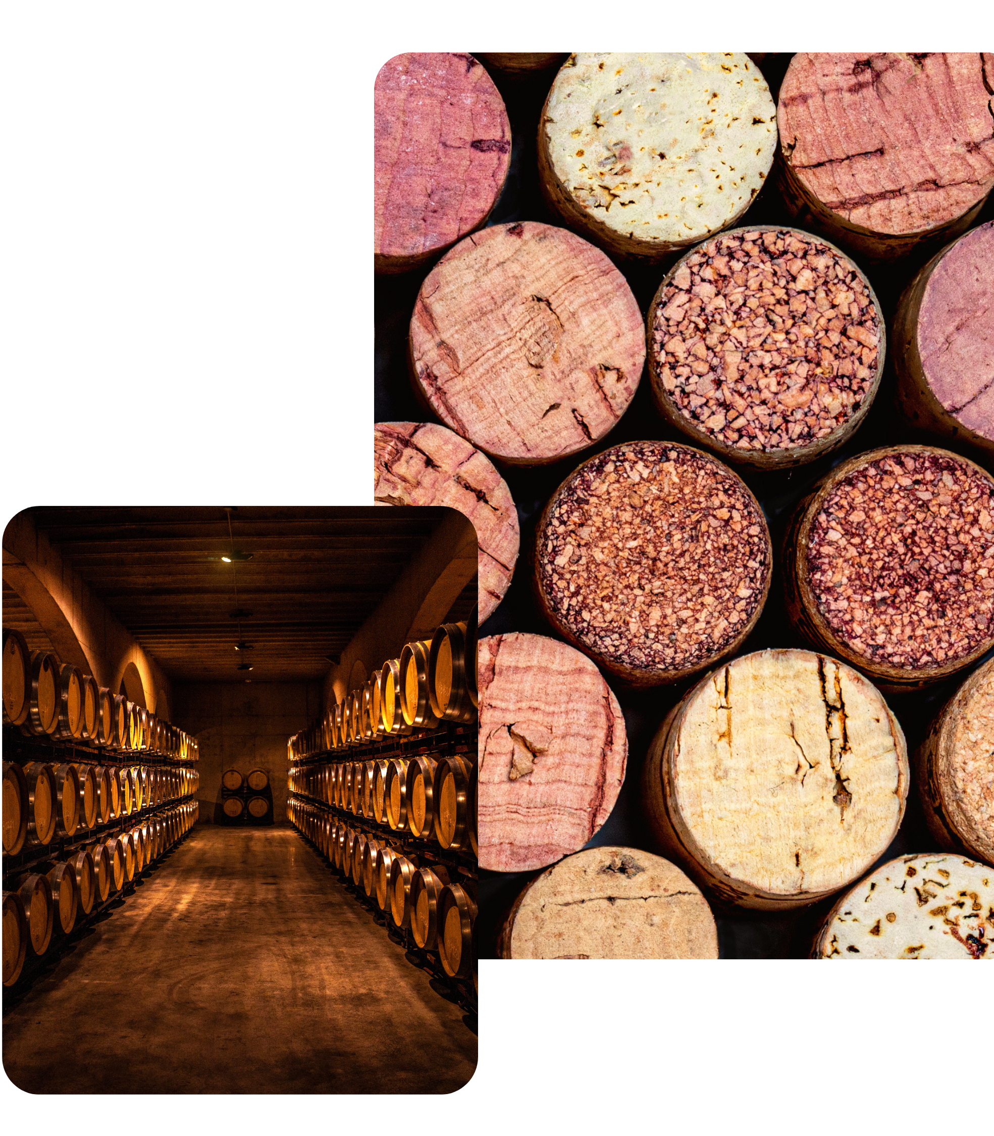 Gestion de cave et Mission