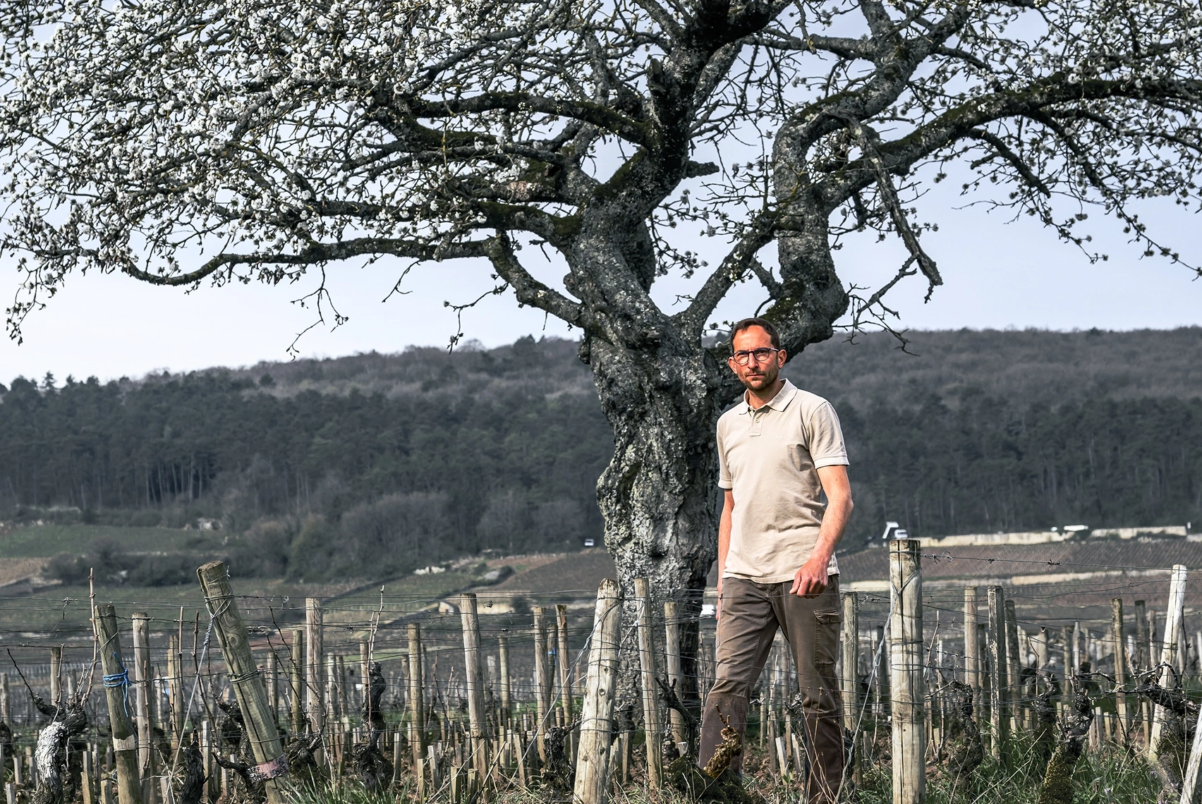 2D1F - Michel Naddef